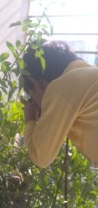 A little boy taking photo of his own home garden .